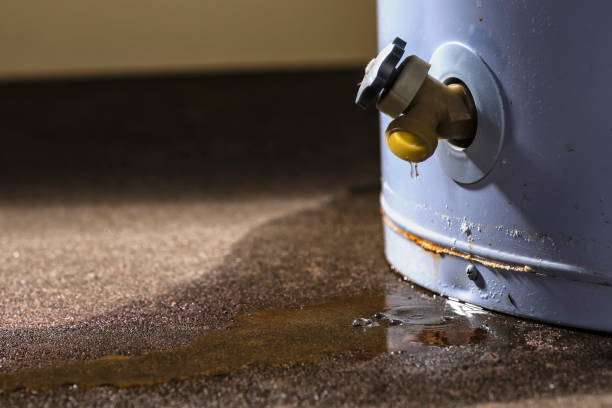 Trusted Pitman, NJ Water damage restoration Experts