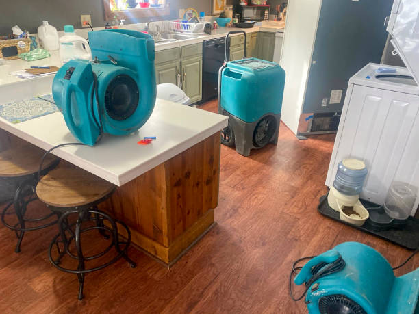 Best 24-hour water damage restoration  in Pitman, NJ