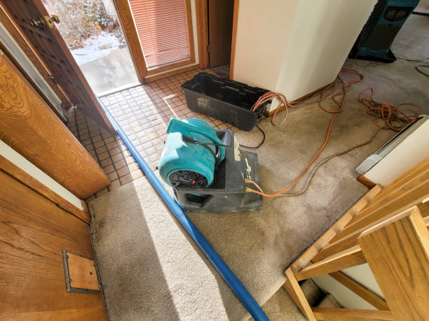 Best Residential water damage restoration  in Pitman, NJ