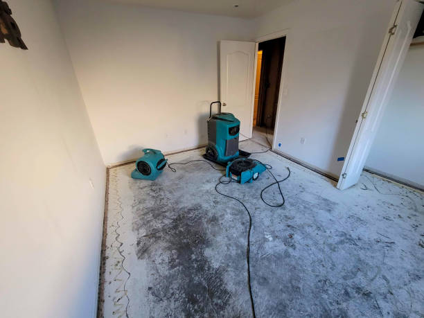 Reliable Pitman, NJ Water damage restoration Solutions