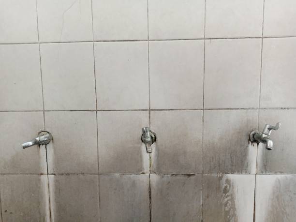 Best Ceiling water damage repair  in Pitman, NJ