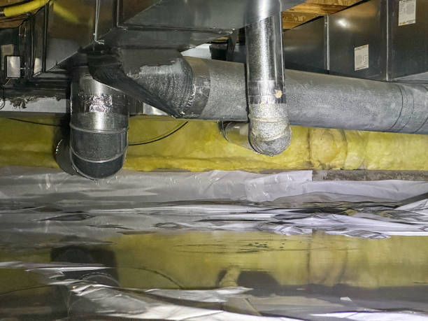 Best Water damage restoration near me  in Pitman, NJ